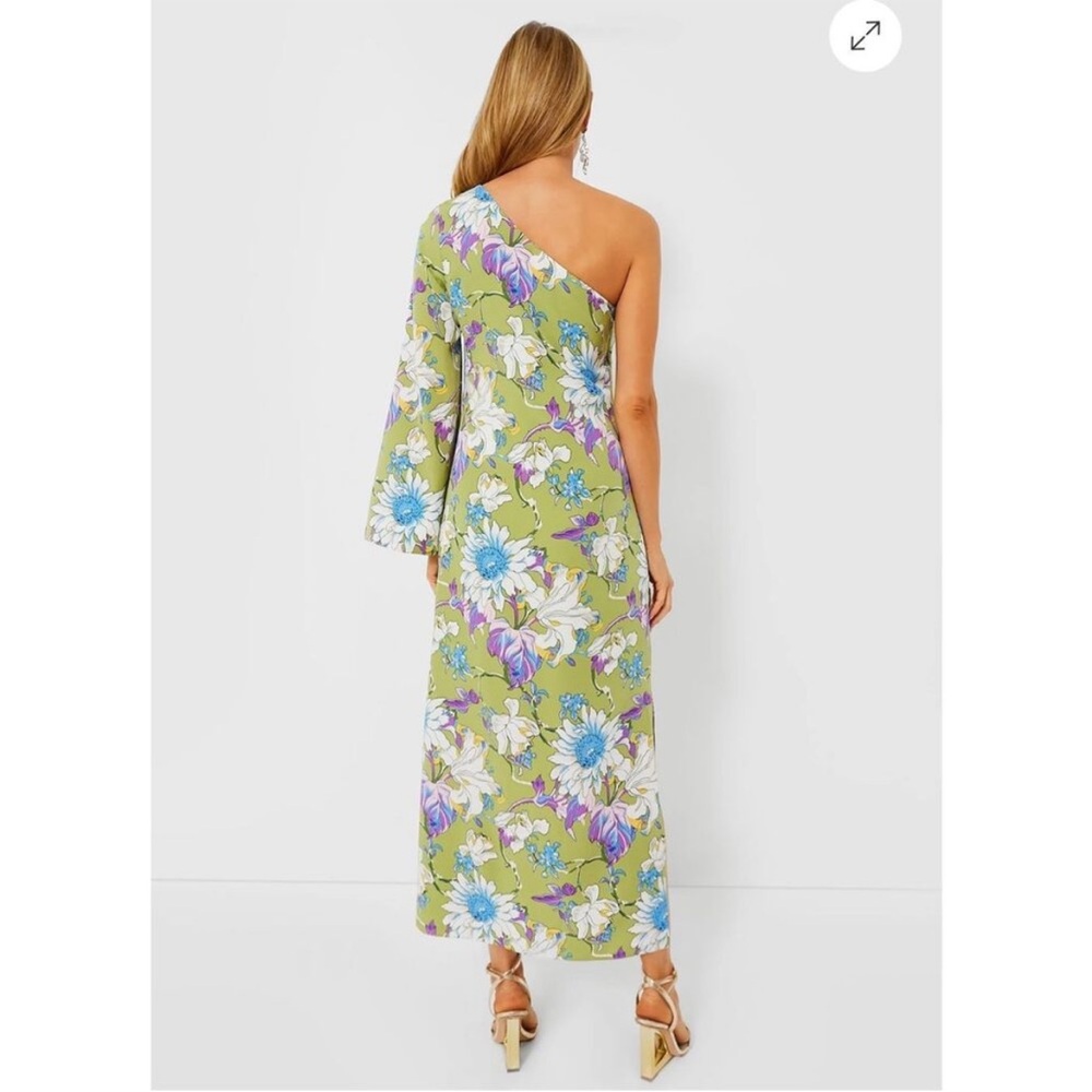 Tuckernuck Green Floral One-Shoulder Maxi Dress - Picture 3 of 15